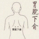 胃脘下俞穴(图1)
