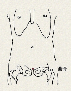 曲骨穴(图1)
